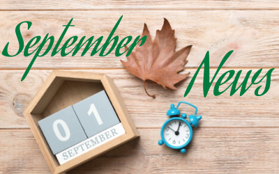 Newsletter September 2024