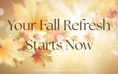 Newsletter August 2025