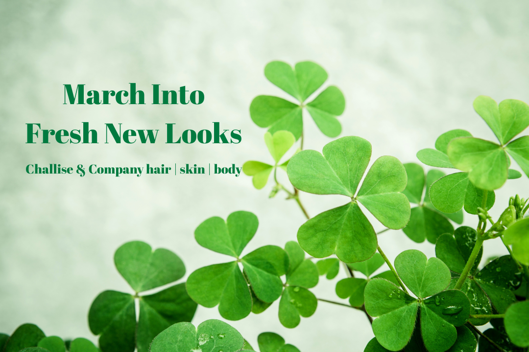 Newsletter March 2026